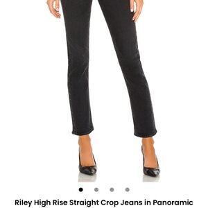 Agolde Riley High Rise Jeans straight crop in Panoramic- Black